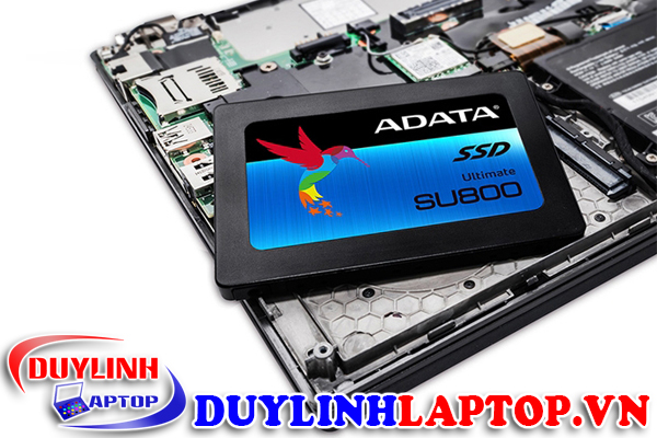 SSD ADATA SU800