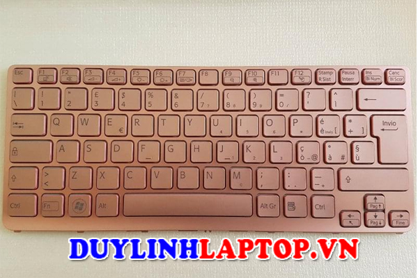 BÀN PHÍM SONY SVE13(hồng) SVE14 Loại có 2 ốc(có bẹ,không đèn)