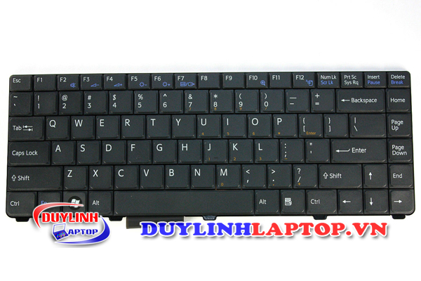 Bàn phím Sony Vaio C, VGN-C2Z, PCG-6R1M, PCG-6R3L, PCG-6P1L, PCG-6P2L (Đen/Trắng)