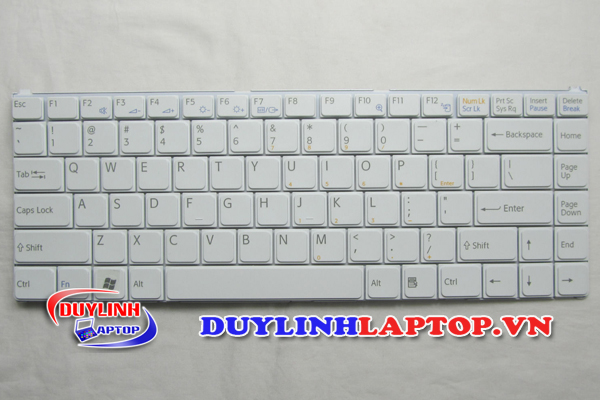 Bàn phím Sony Vaio N, PCG-7Y1L, PCG-7Y2L, PCG-7X1L, PCG-7X2L, PCG-7T1L, PCG-7T2L (Đen/Trắng)