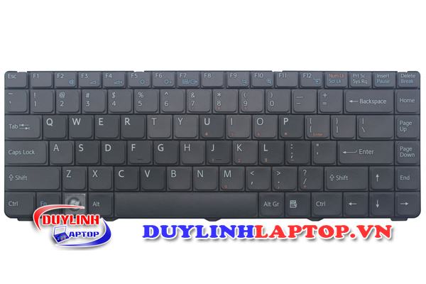 Bàn phím Sony Vaio NR, NS, PCG-7161L, PCG-7162L, PCG-7132L, PCG-7Z1L, PCG-7Z2L, PCG-7Z1N (Đen/Trắng)