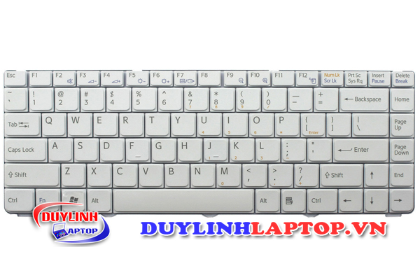 Bàn phím Sony Vaio NR, NS, PCG-7161L, PCG-7162L, PCG-7132L, PCG-7Z1L, PCG-7Z2L, PCG-7Z1N (Đen/Trắng)