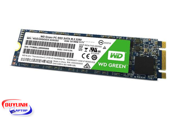 Ổ SSD Western Green 240Gb M2.2280