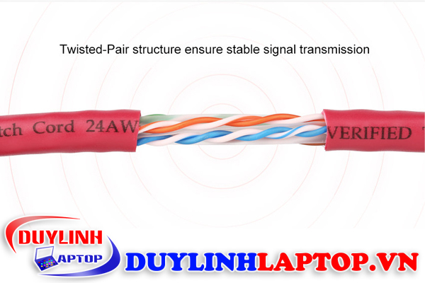 cat-6-UTP-hong-1