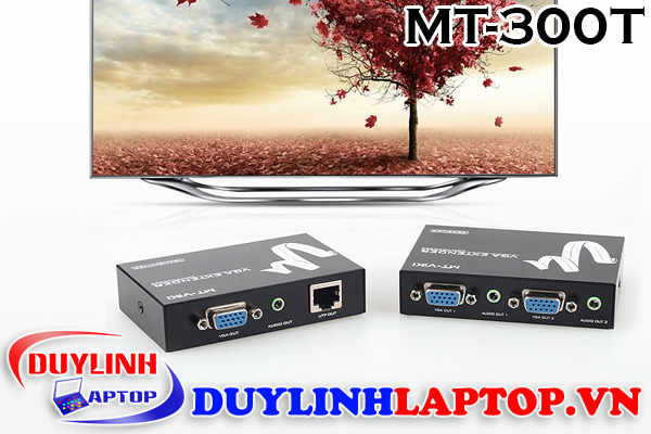 1-MT-Viki-300T