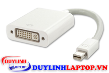 Cáp chuyển đổi Mini Displayport to DVI 24+5 giá rẻ