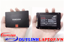 Ổ cứng SSD Samsung 256GB 840 Pro tháo máy chất lượng tốt Ha Noi